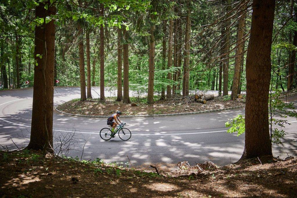 197445671_257498739505074_4472247027514558965_n